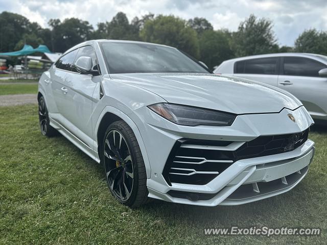 Lamborghini Urus spotted in Marshall, Indiana