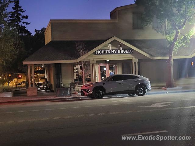 Lamborghini Urus spotted in Danville, California