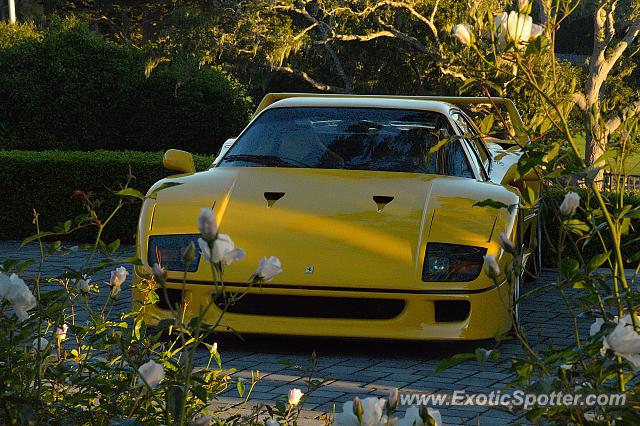 Ferrari F40 spotted in Monterey, California