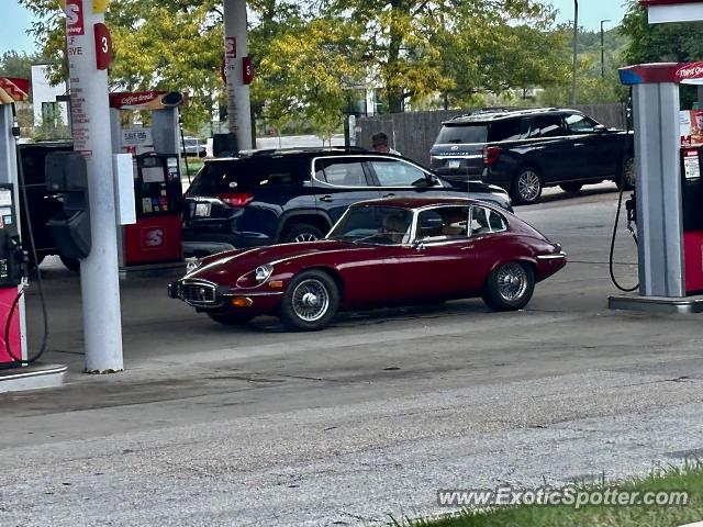Jaguar E-Type spotted in Brookfield, Wisconsin