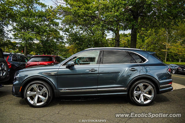 Bentley Bentayga spotted in Greenwich, Connecticut