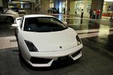 Lamborghini Gallardo