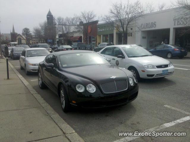 Bentley Continental spotted in Newton Centre, Massachusetts