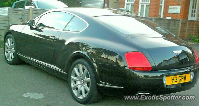 Bentley Continental spotted in Braintree, United Kingdom