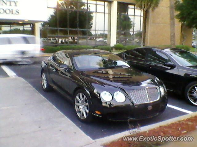 Bentley Continental spotted in Jacksonville, Florida