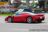 Ferrari Enzo