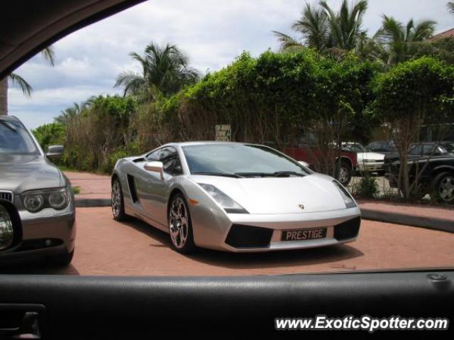 Lamborghini Gallardo spotted in Miami, Florida