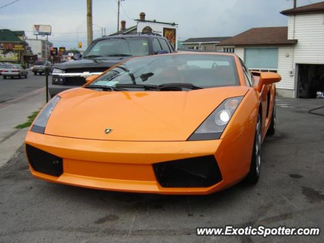 Lamborghini Gallardo spotted in Kingston, Canada