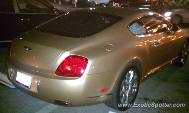 Bentley Continental spotted in Jacksonville, Florida