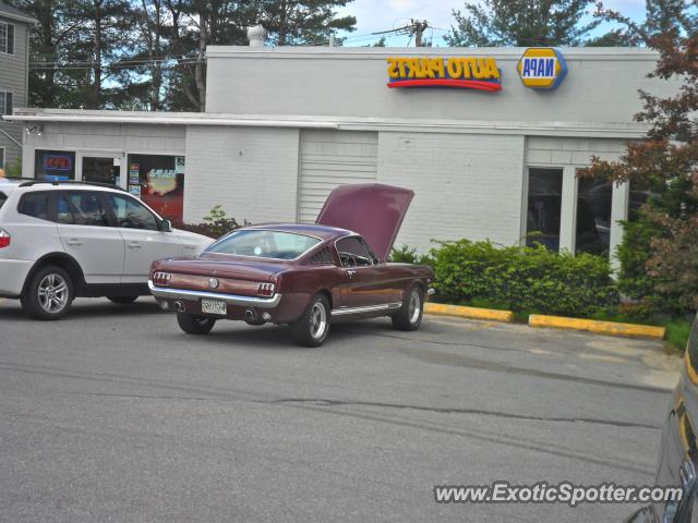 Other Vintage spotted in Yarmouth, Maine