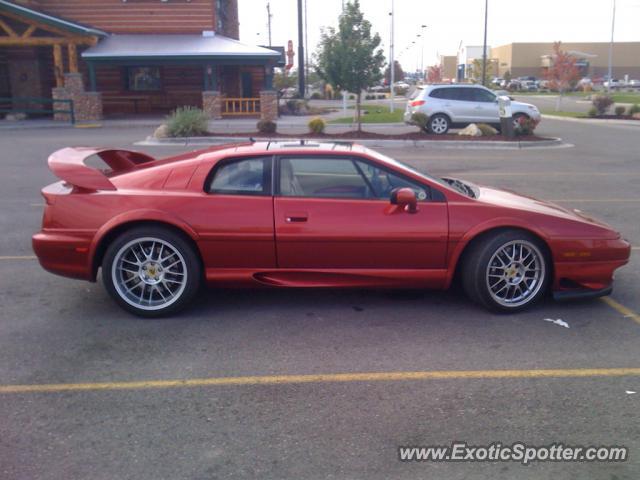 Lotus Esprit spotted in Idaho Falls, Idaho