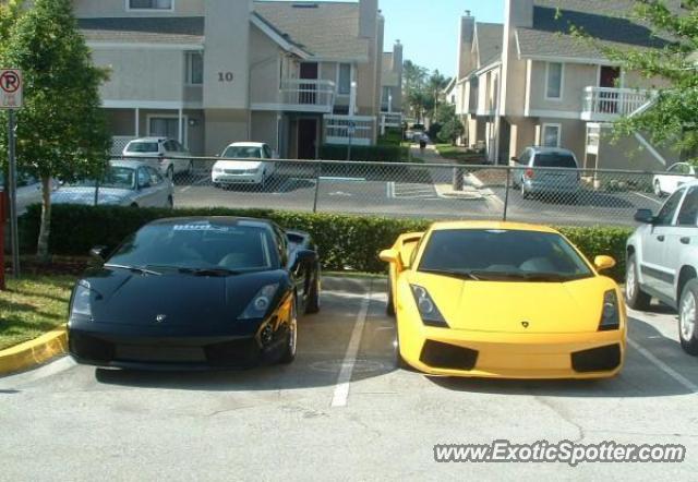 Lamborghini Gallardo spotted in Orlando , United States
