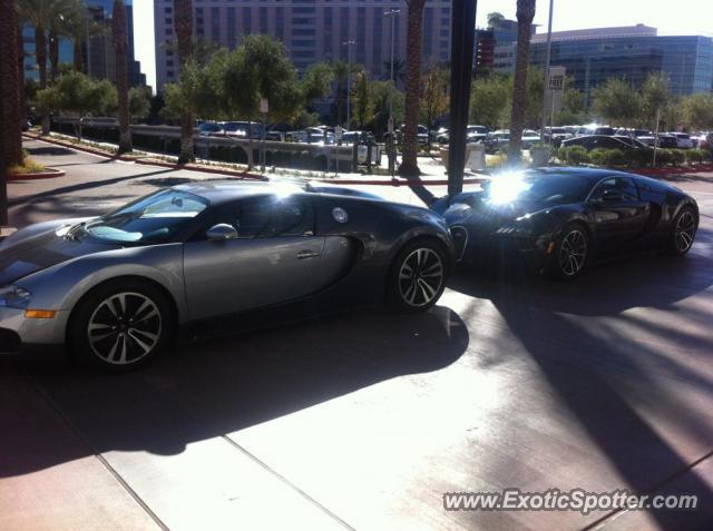 Bugatti Veyron spotted in Scottsdale, Arizona