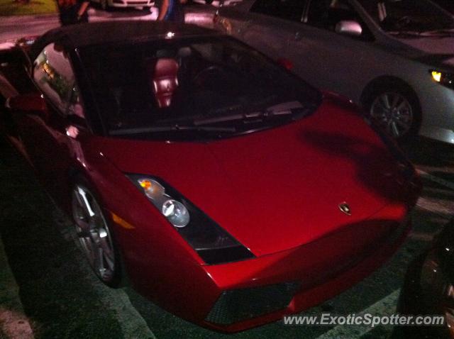 Lamborghini Gallardo spotted in Jacksonville, Florida