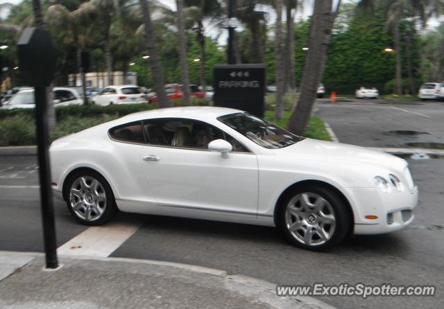 Bentley Continental spotted in Miami, Florida