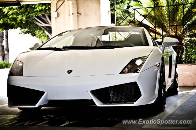 Lamborghini Gallardo spotted in Beverly Hills, California