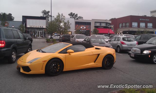 Lamborghini Gallardo spotted in Dedham, Massachusetts