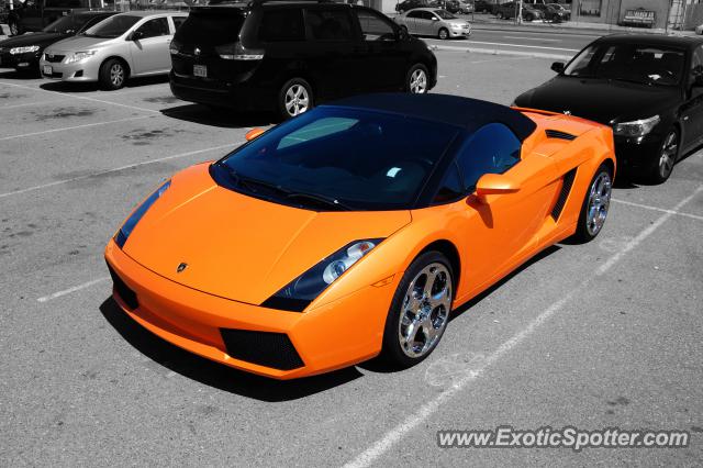 Lamborghini Gallardo spotted in San Diego, California