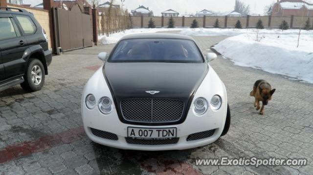 Bentley Continental spotted in Almaty, Kazakhstan