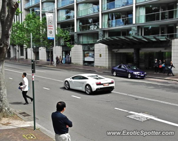 Lamborghini Gallardo spotted in Sydney, Australia