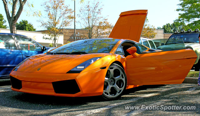 Lamborghini Gallardo spotted in Red Bank, New Jersey