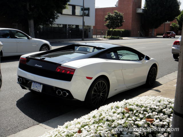 Lamborghini Gallardo spotted in Beverly Hills, California