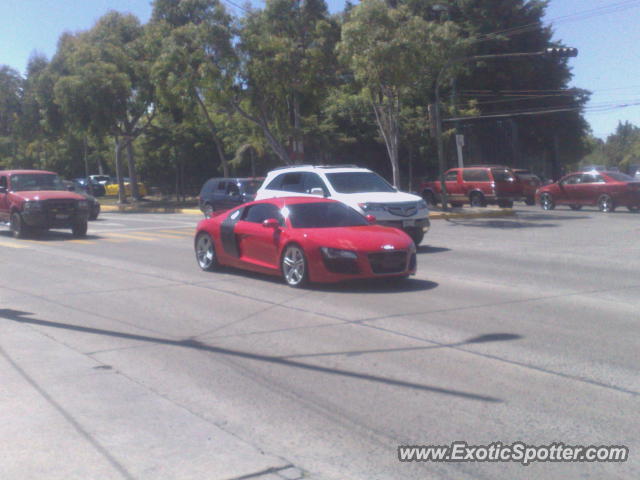 Audi R8 spotted in Guadalajara, Mexico