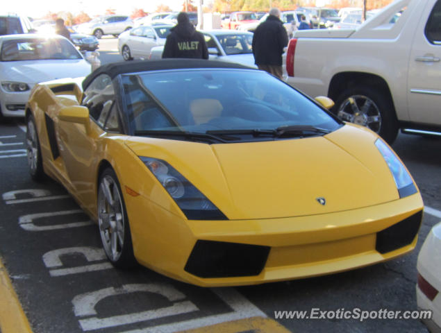 Lamborghini Gallardo spotted in Paramus, New Jersey