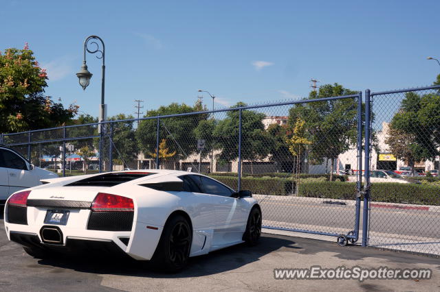 Lamborghini Murcielago spotted in Beverly Hills, California