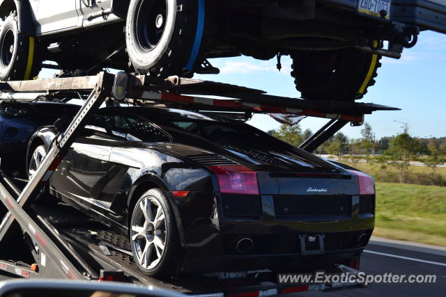 Lamborghini Gallardo spotted in Jacksonville, Florida