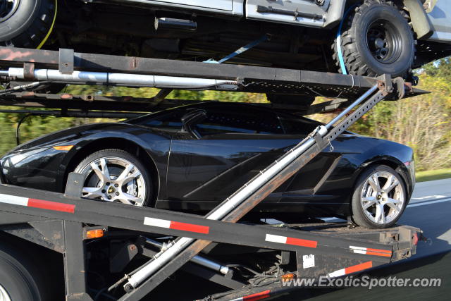 Lamborghini Gallardo spotted in Jacksonville, Florida