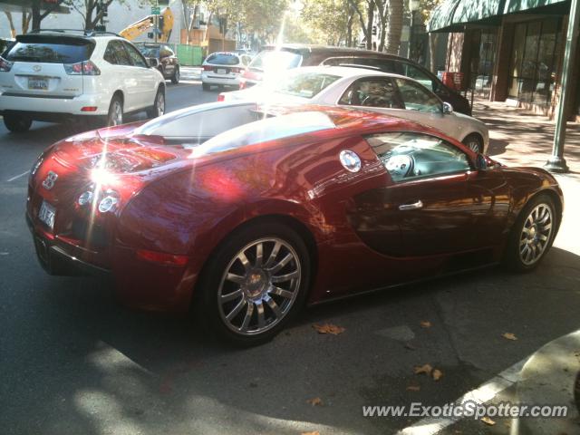 Bugatti Veyron spotted in Palo Alto, California