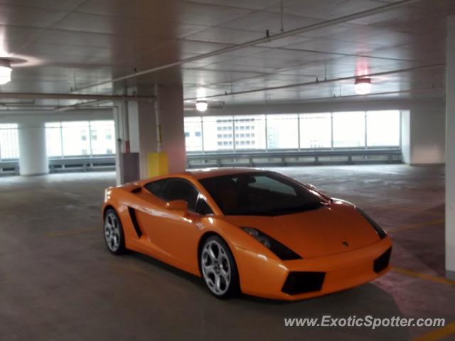 Lamborghini Gallardo spotted in Chicago, Illinois