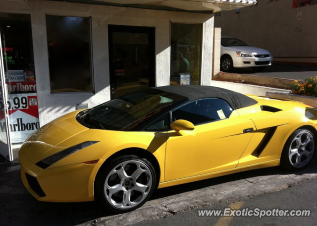 Lamborghini Gallardo spotted in Toronto, Canada