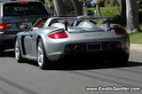 Porsche Carrera GT