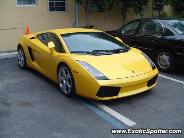 Lamborghini Gallardo spotted in Miami, Florida