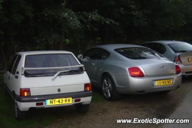 Bentley Continental spotted in Rhoon, Netherlands