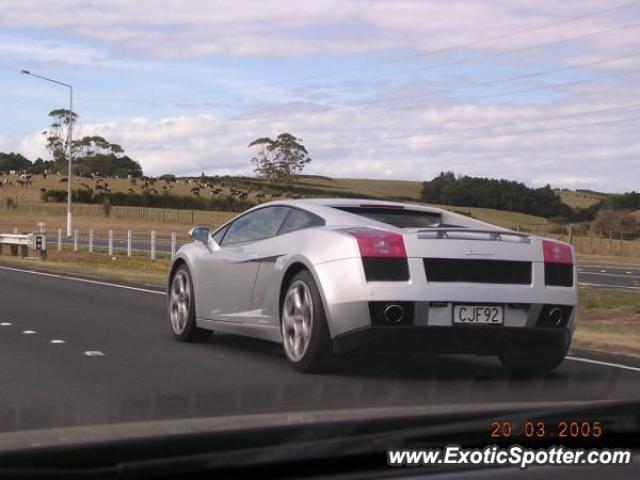 Lamborghini Gallardo spotted in Auckland, New Zealand