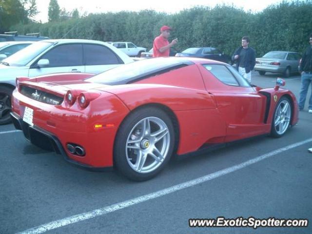 Ferrari Enzo spotted in Bellevue, Washington