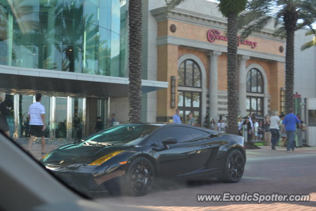 Lamborghini Gallardo spotted in Orlando, Florida