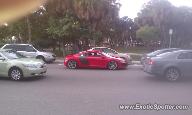 Audi R8 spotted in Sarasota, Florida