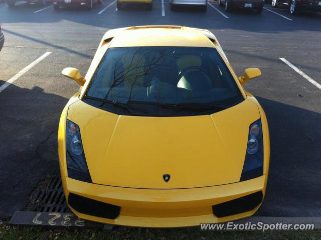 Lamborghini Gallardo spotted in St. Louis, Missouri