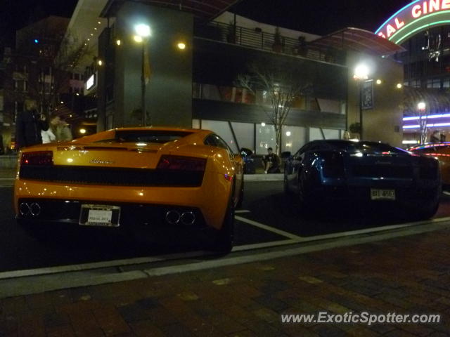 Lamborghini Gallardo spotted in Atlanta, Georgia