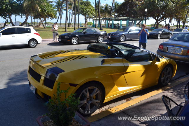 Lamborghini Gallardo spotted in Miami, Florida