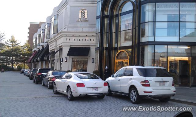 Bentley Continental spotted in Chestnut Hill, Massachusetts