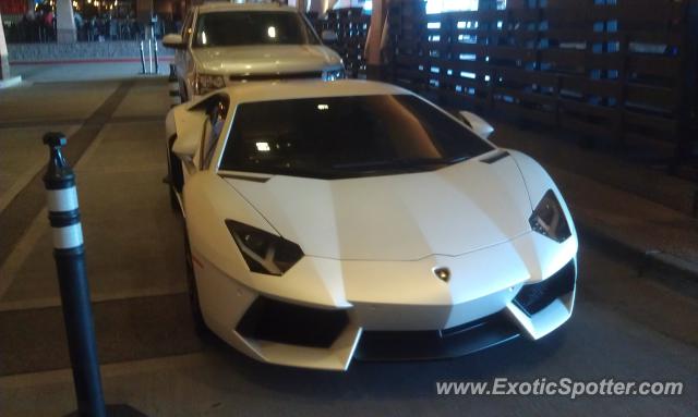 Lamborghini Aventador spotted in Scottsdale, Arizona