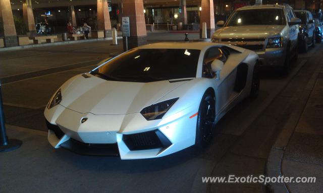 Lamborghini Aventador spotted in Scottsdale, Arizona