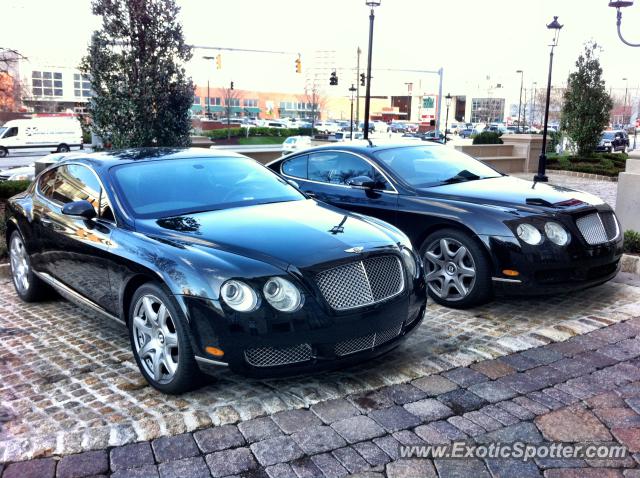 Bentley Continental spotted in Atlanta, Georgia