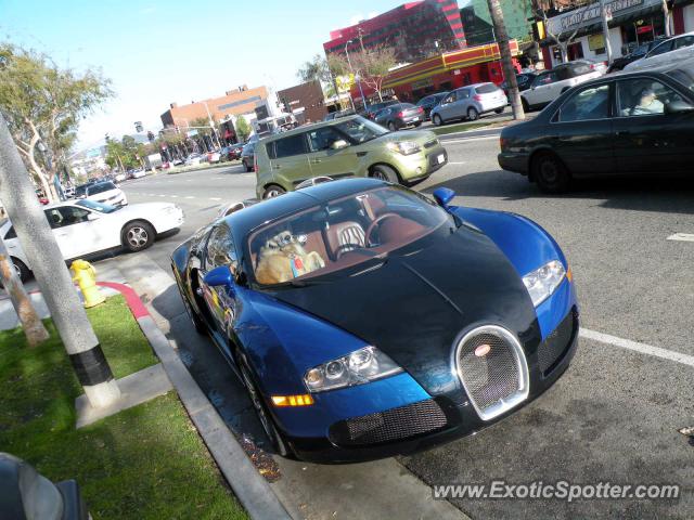 Bugatti Veyron spotted in Beverly Hills , California