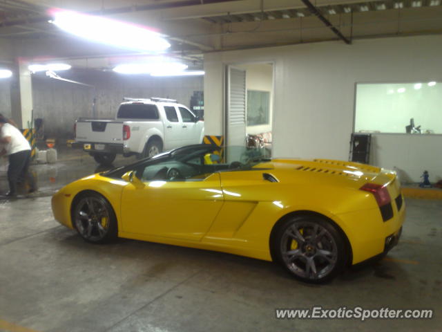 Lamborghini Gallardo spotted in Guadalajara, Mexico